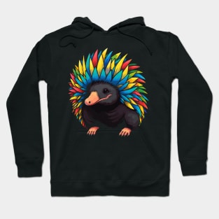 Echidna Smiling Hoodie